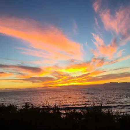 Ocean View Palm-mar