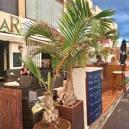 Ocean View Palm-mar