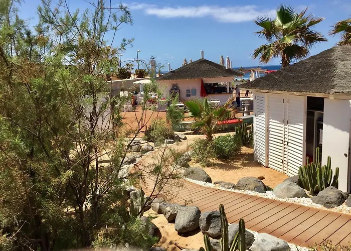 Ocean View * Palm-mar